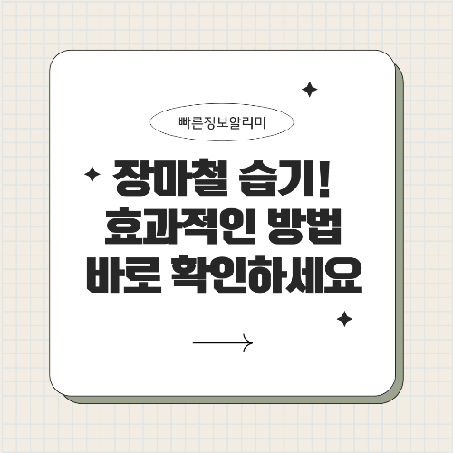 장마철 습기 제거 완전 공략