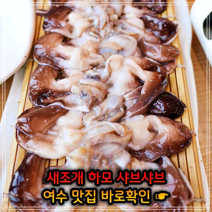 생생정보 소노캄 여수 보양식의 왕 하모 샤부샤부 맛집