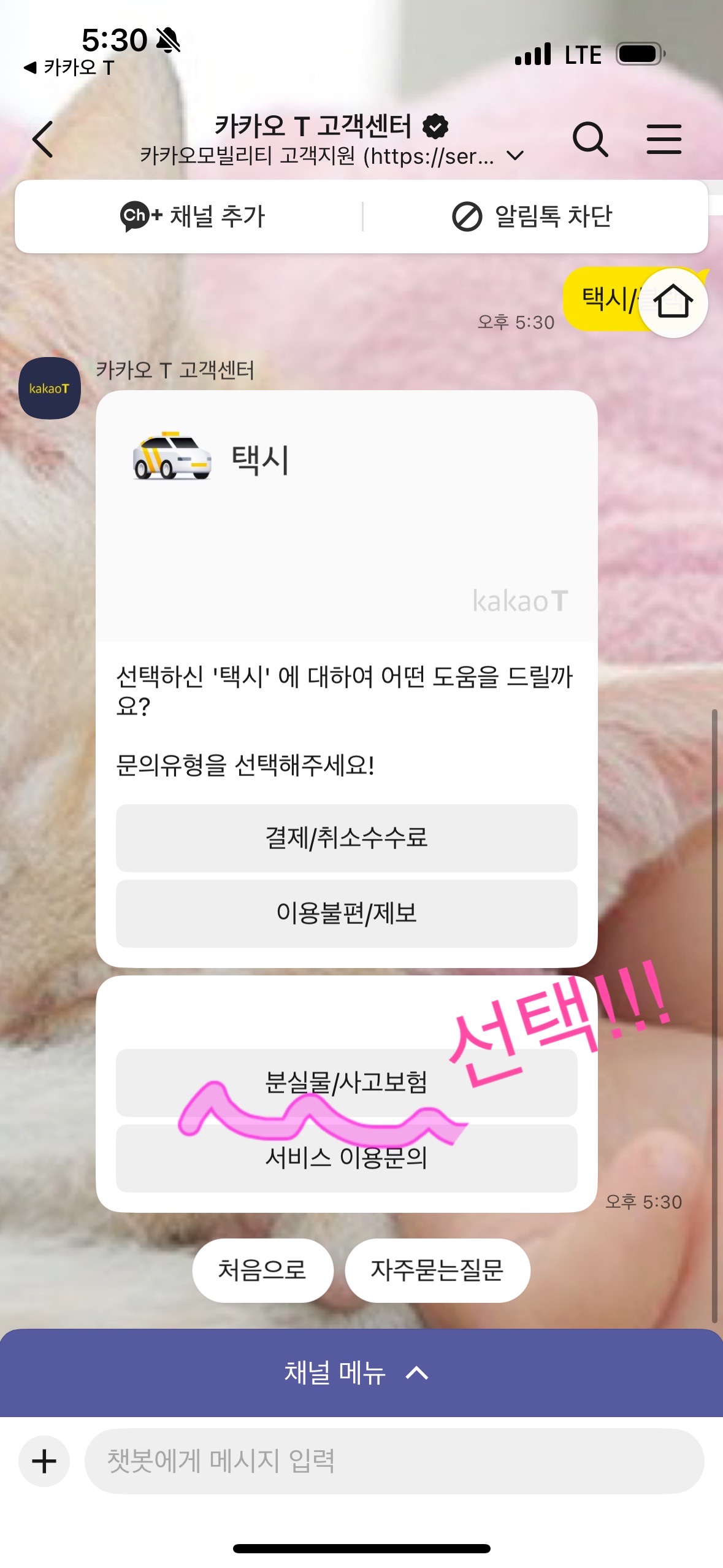 카카오택시 고객센터 채팅창에서 분실물/사고보험 선택 화면