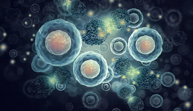 후두암 초기증상