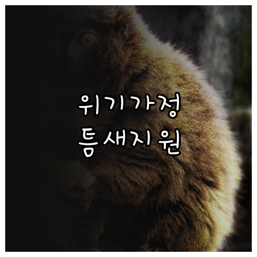 재난, 질병, 실직? 2025 위기가..