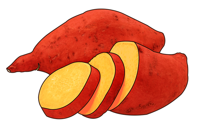 고구마 심는 시기 알아보기 18