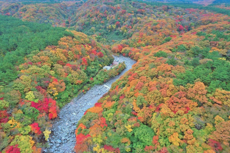 2025년 단풍 절정 시기 가이드, 여행 전 꼭 알아야 할 날짜와 명소 관련 사진