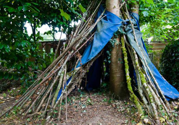 쓰러진 나무 활용, 중형 목재 쉼터 직접 건축기