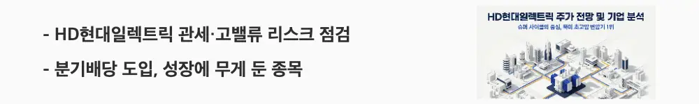 HD현대일렉트릭 주가 전망: 'HD현대일렉트릭 관세&middot;고밸류 리스크 점검'이라는 문구가 포함된 웹배너 이미지. 이 이미지는 관세와 밸류에이션 리스크 및 분기배당 도입을 시각적으로 전달하며, 블로그의 HD현대일렉트릭 투자 리스크 분석과 관련된 내용을 설명함
