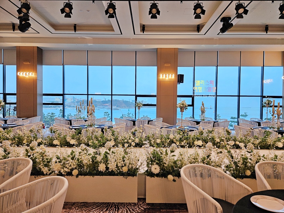 울산 오션뷰 웨딩홀 결혼식장 투어 타니베이 호텔 & 웨딩 예식장 + 뷔페 후기