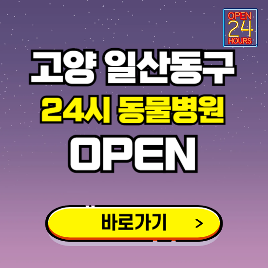 고양시 일산동구 24시 동물병원 진료하는 곳 ❘ 설날 휴일 야간 심야 문여는곳 찾기 ❘ 응급진료