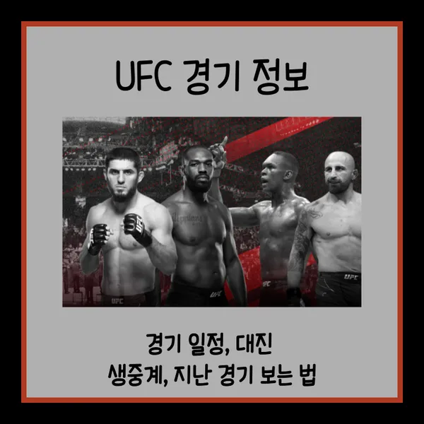UFC 경기일정