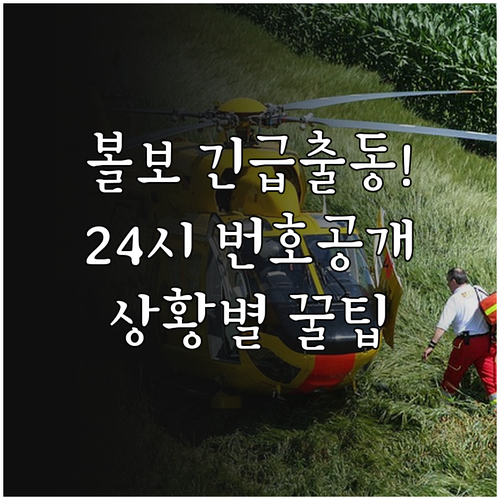 볼보 24시간 긴급출동 서비스 번호 ..