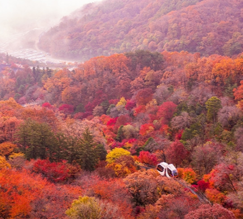 가을여행지 추천 곤지암 화담숲 단풍 예약! 경기도 가볼만한 곳 인생샷 명소
