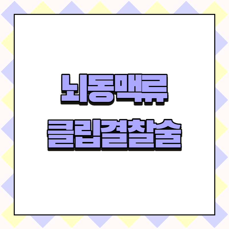 뇌동맥류 클립결찰술