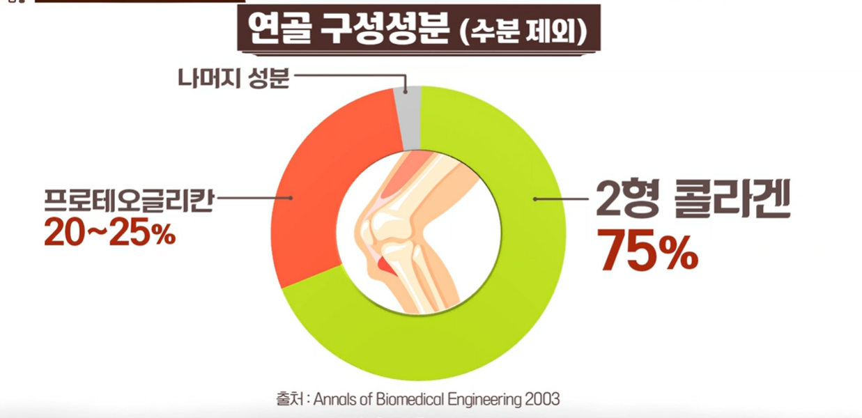 프로테오글리칸