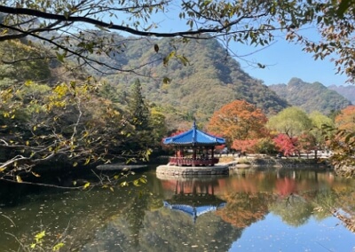 내장산 케이블카 이용하는 방법