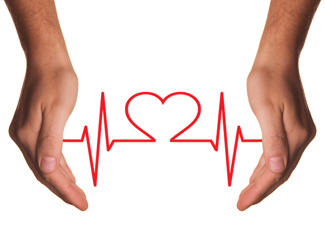 건강검진 결과 해석 방법｜검사 항목별 정상 수치와 의미 총정리