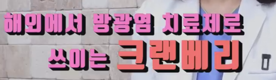 크랜베리