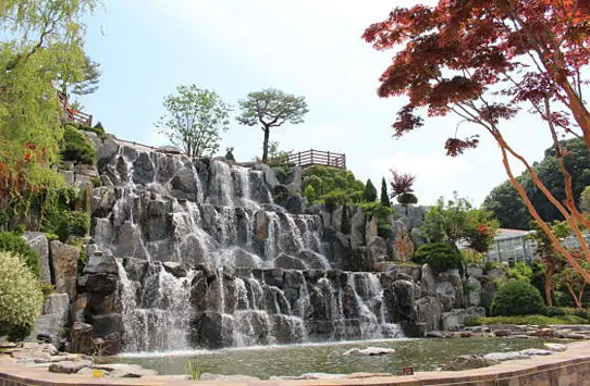 용인자작나무숲펜션