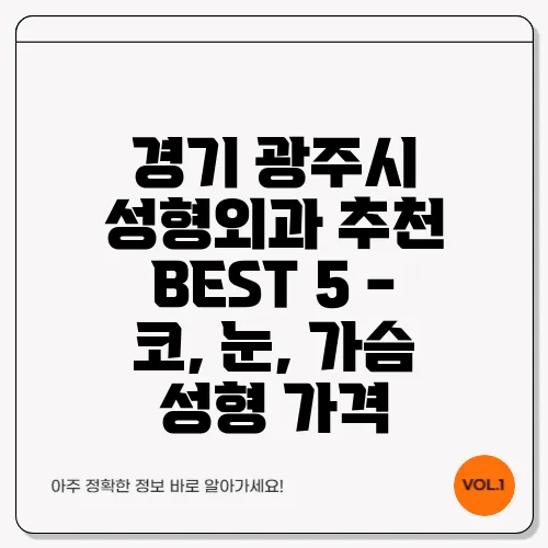 경기 광주시 성형외과 추천 BEST 5 - 코, 눈, 가슴 성형 가격