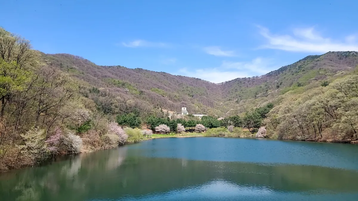진녹색나무의-산과-파란하늘-햇살에반짝이는-파주마장호수
