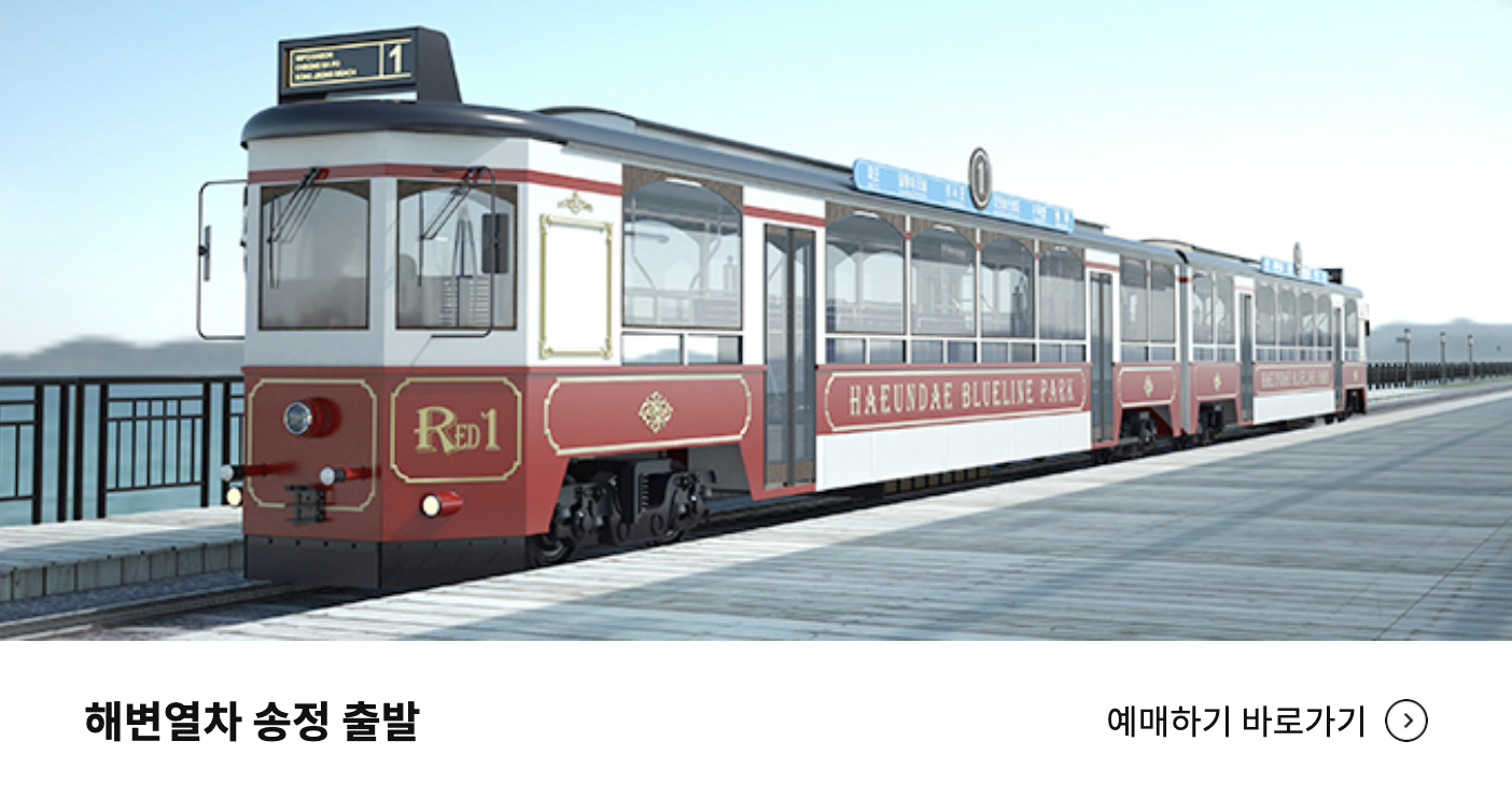 해변열차 예약하기