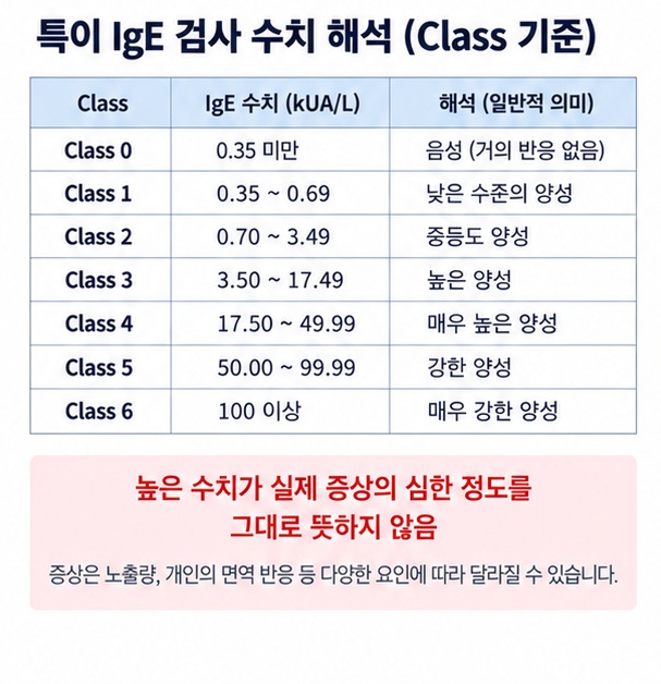 알레르기 특이 IgE Class 0부터 6까지 수치 구간과 감작 정도를 표로 정리한 이미지
