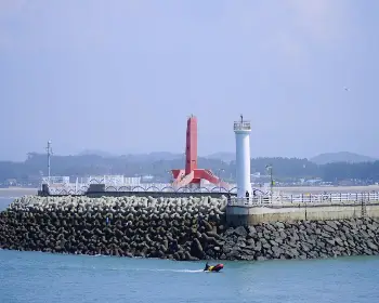 서천 홍원항 자연산 전어 꽃게 축제_5