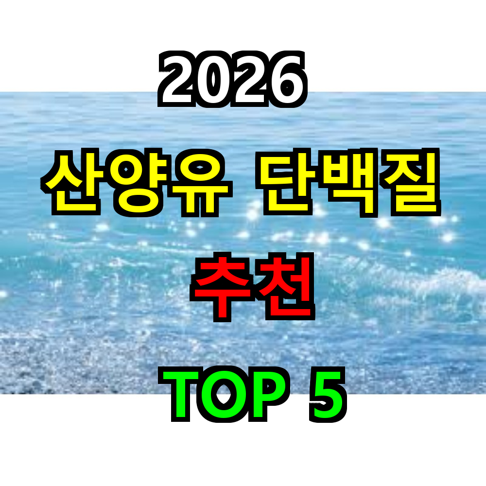 2026 산양유 단백질 추천 TOP 5