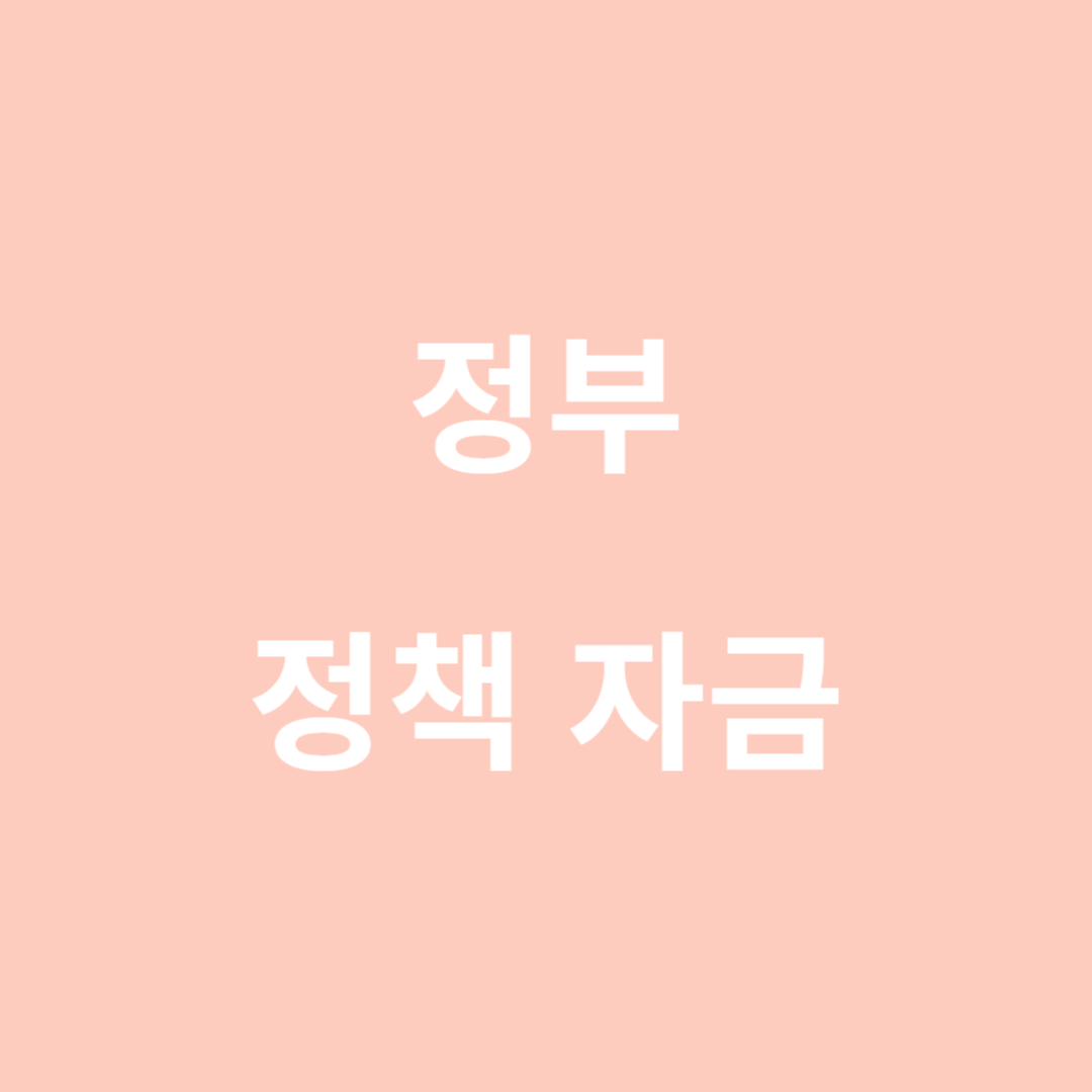 정부 정책 자금
