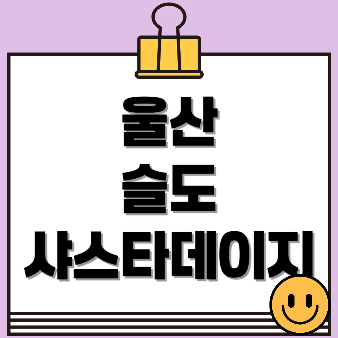 울산 슬도 샤스타데이지 꽃밭 개화 시기와 포토존 완벽 가이드