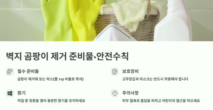 벽지 곰팡이 제거, 얼룩(모기자국,음식,낙서 등) 제거방법: 벽지 청소법