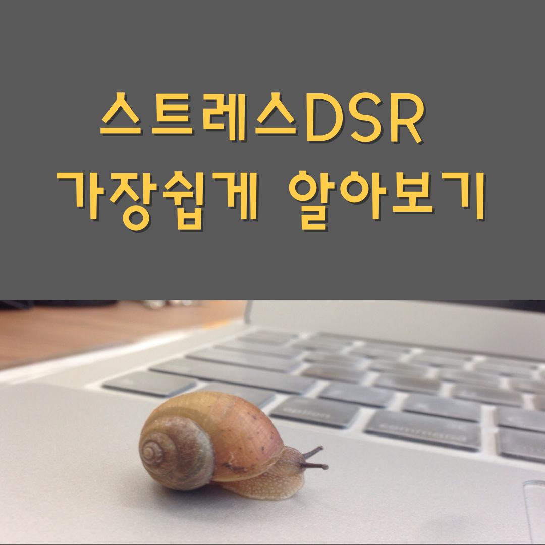 스트레스DSR가장쉽게 알아보기