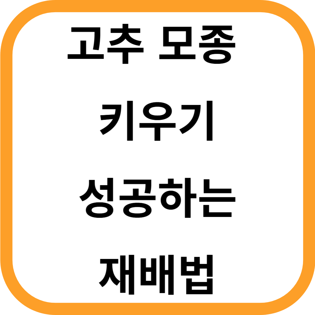 고추 모종 키우기