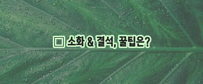 강아지 건강한 소화 돕는 결석 예방 식품 가이드 꼭 확인하세요