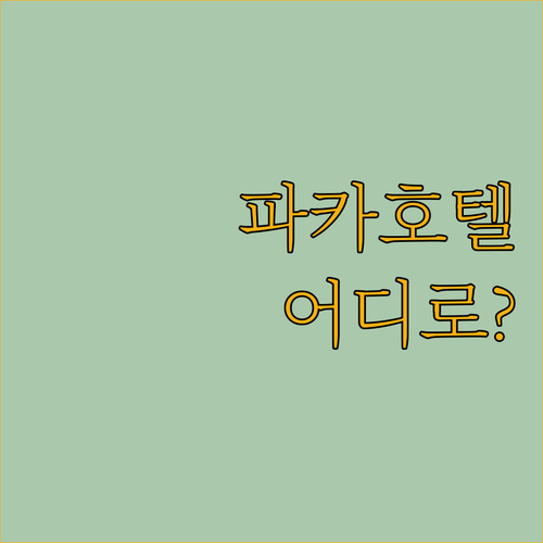 파카 호텔 어디로 가야 할까? 완벽 