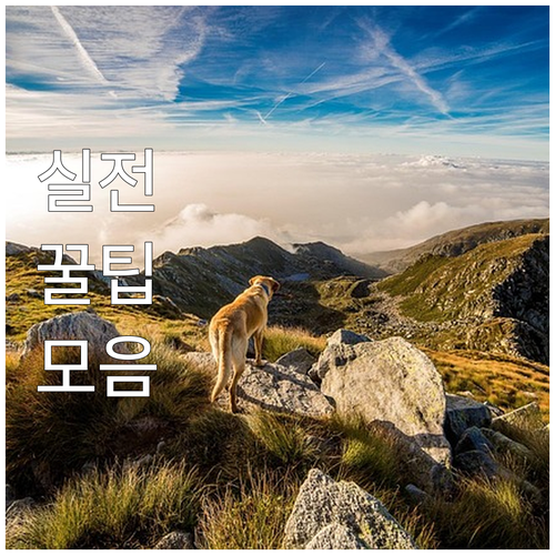 광명 아이소망 2025 난임 시술비 ..