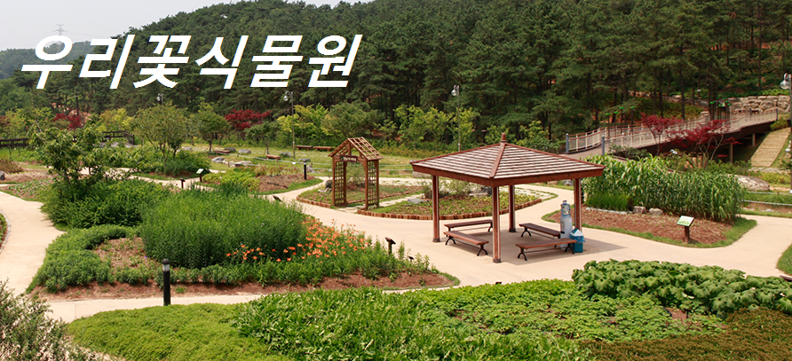 우리꽃식물원 대표사진
