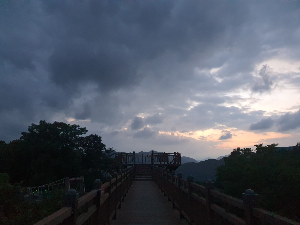 소백산 자연휴양림휴양림