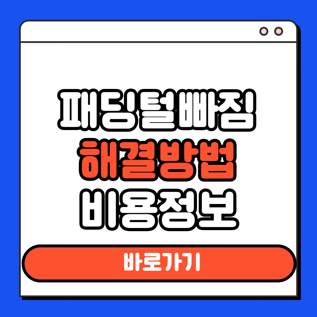 패딩털빠짐
