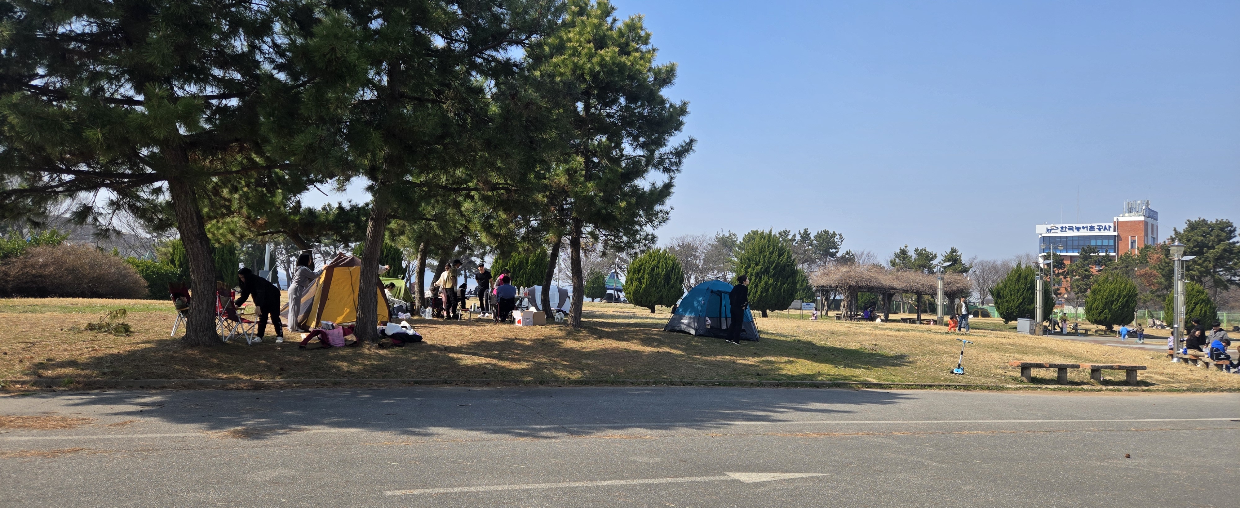 금강하구둑주변 무료캠핑사진
