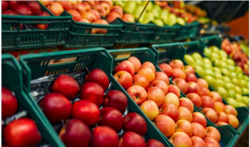 바구니에 담겨 진열되어 있는 과일사진