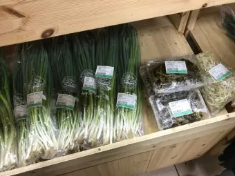 로컬푸드 출하 절차 등급 선별 라벨 위생 기준_12