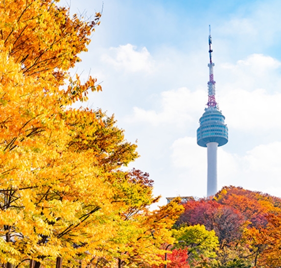 산책하기 좋은 서울 단풍 명소 110선