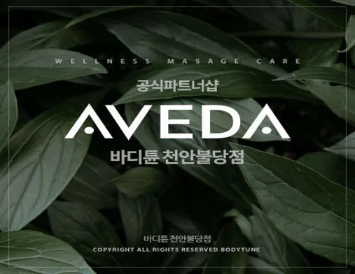 바디튠 마사지살롱 천안불당점