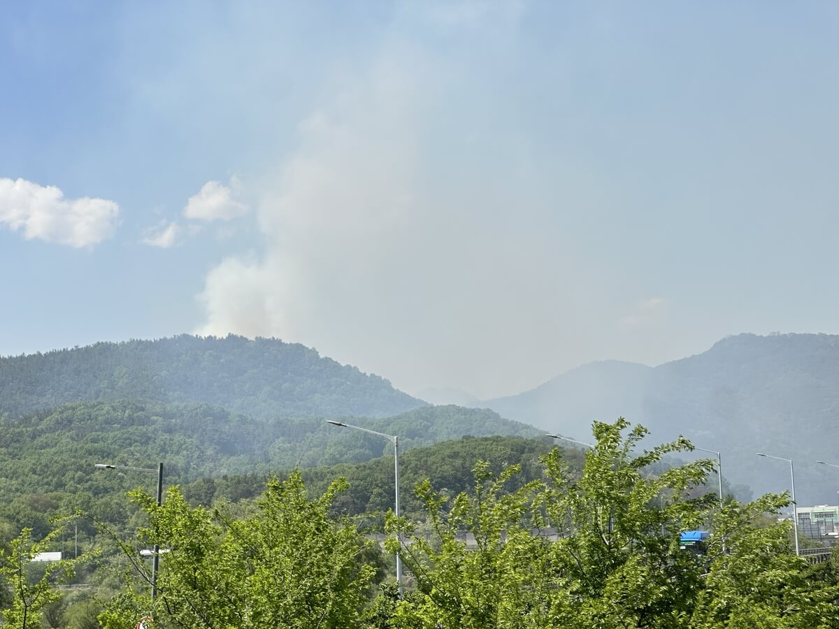 대구 함지산 산불 원인 실시간 상황 대피 주의사항