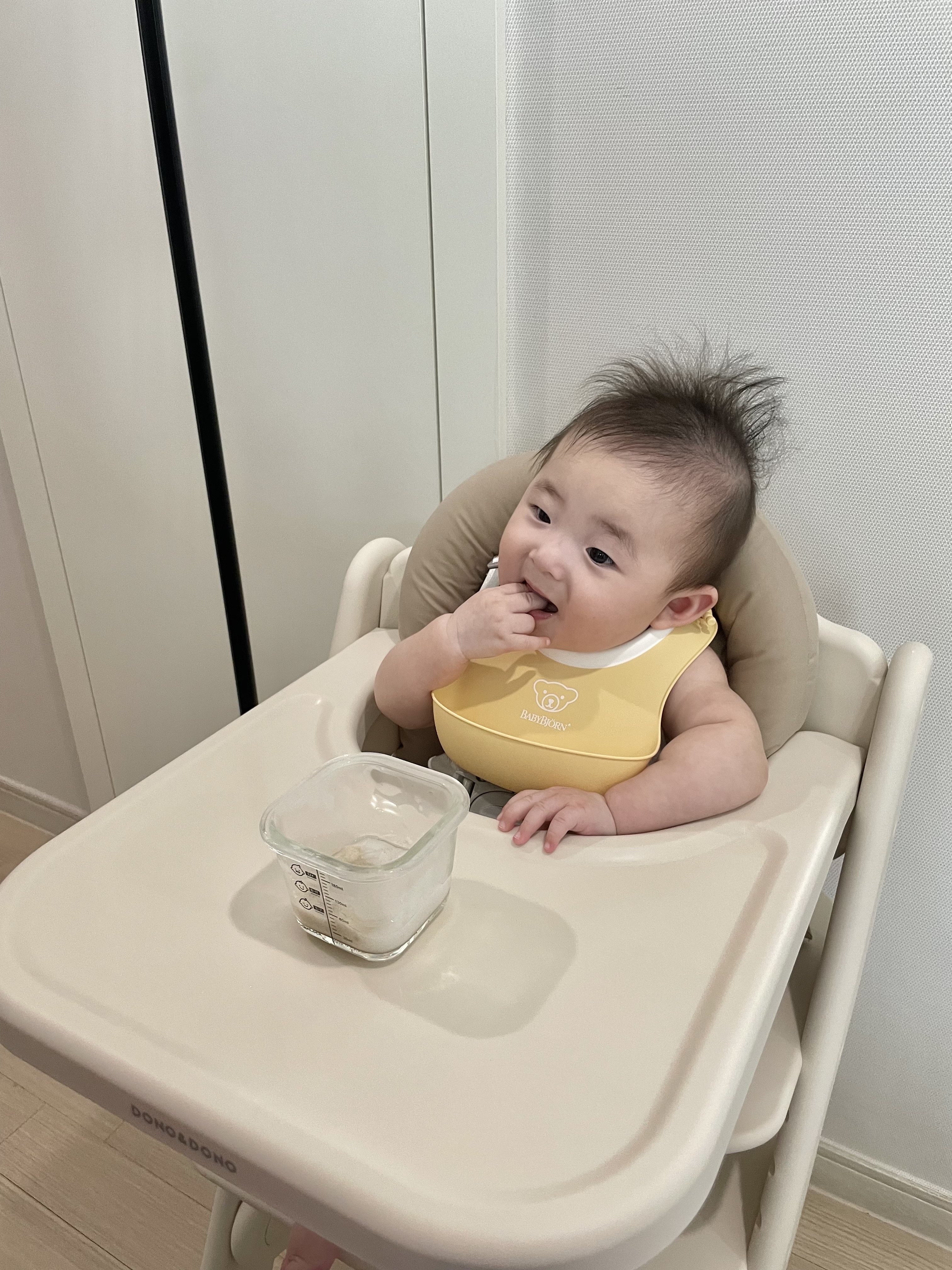 도노도노 하이체어