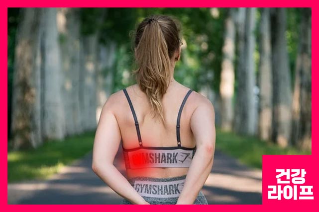 갑자기 무리한 운동으로 근육을 과도하게 사용했을 때 옆구리가 콕콕 쑤시는 이유가 될 수 있다.