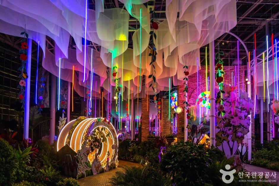 실내에 알록달록한 조명 들이 있다.