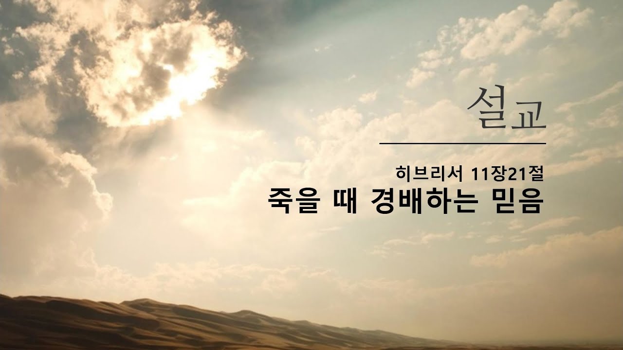 실적 개선과 리스크 관리가 투자 전략의 핵심