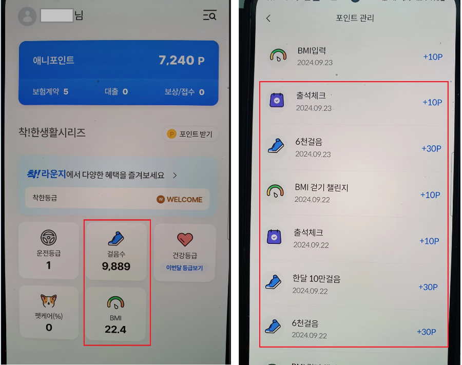 착-다이렉트-리워드