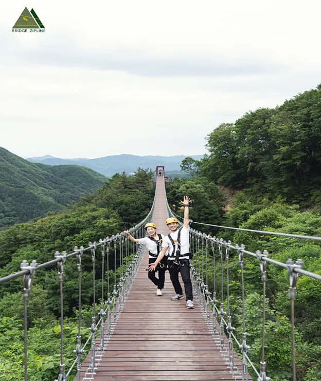 브릿지짚라인