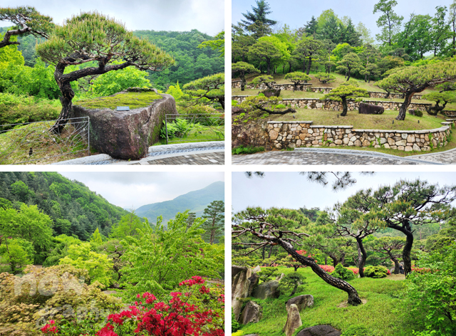 화담숲
